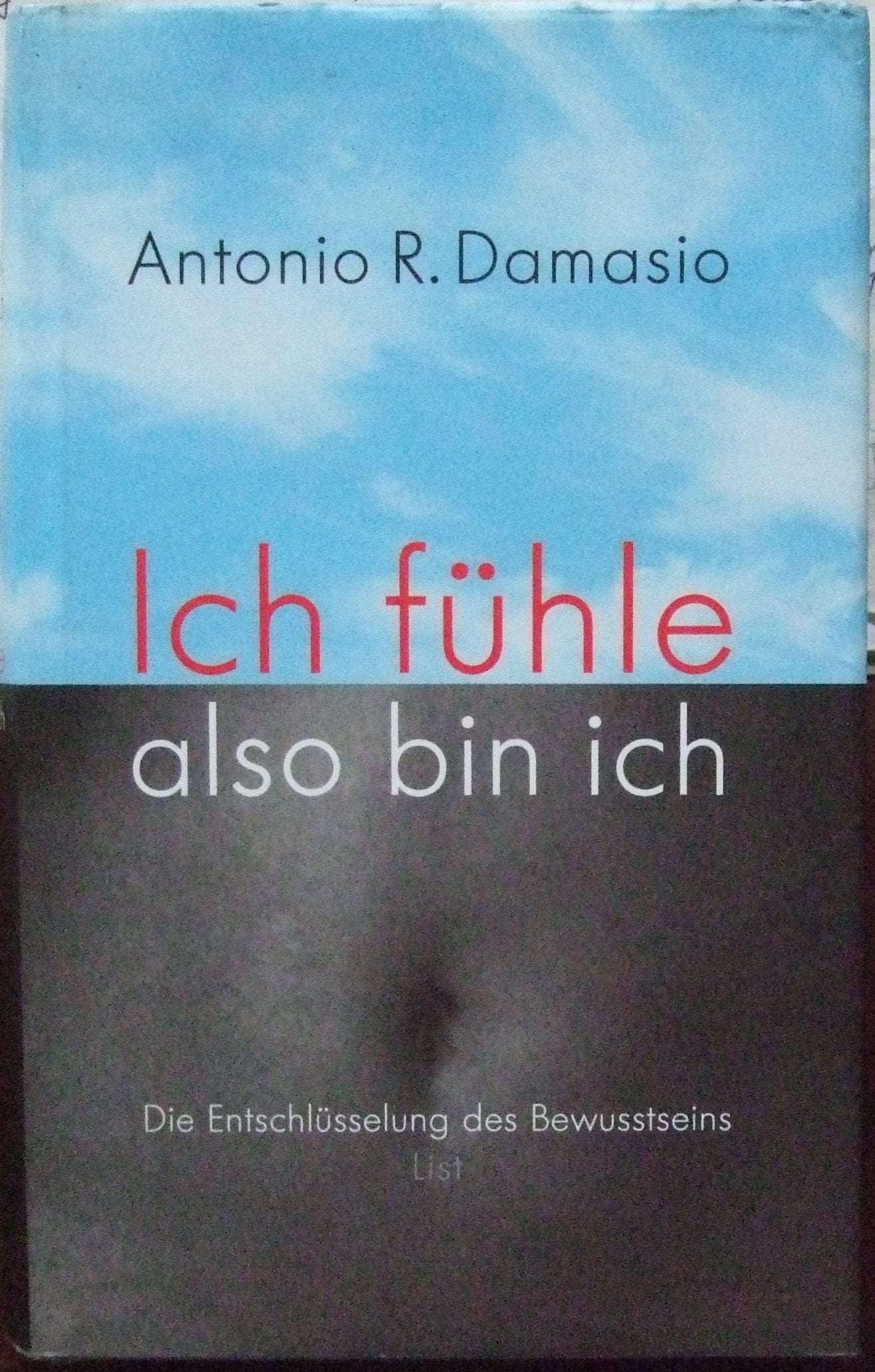 Ich fühle, also bin ich: Die Entschlüsselung des Bewusstseins Books