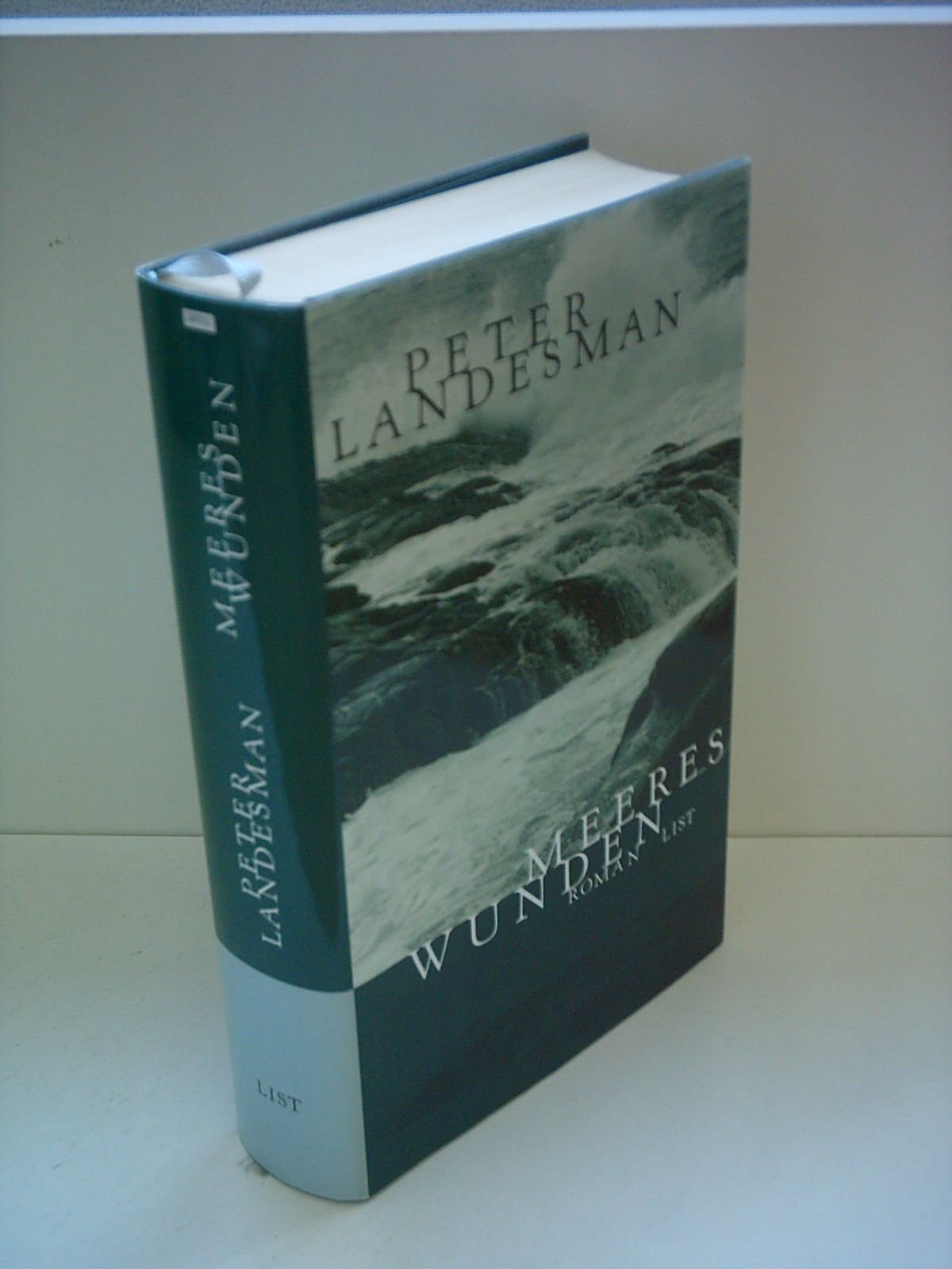 Meereswunden. Roman Contemporary literature