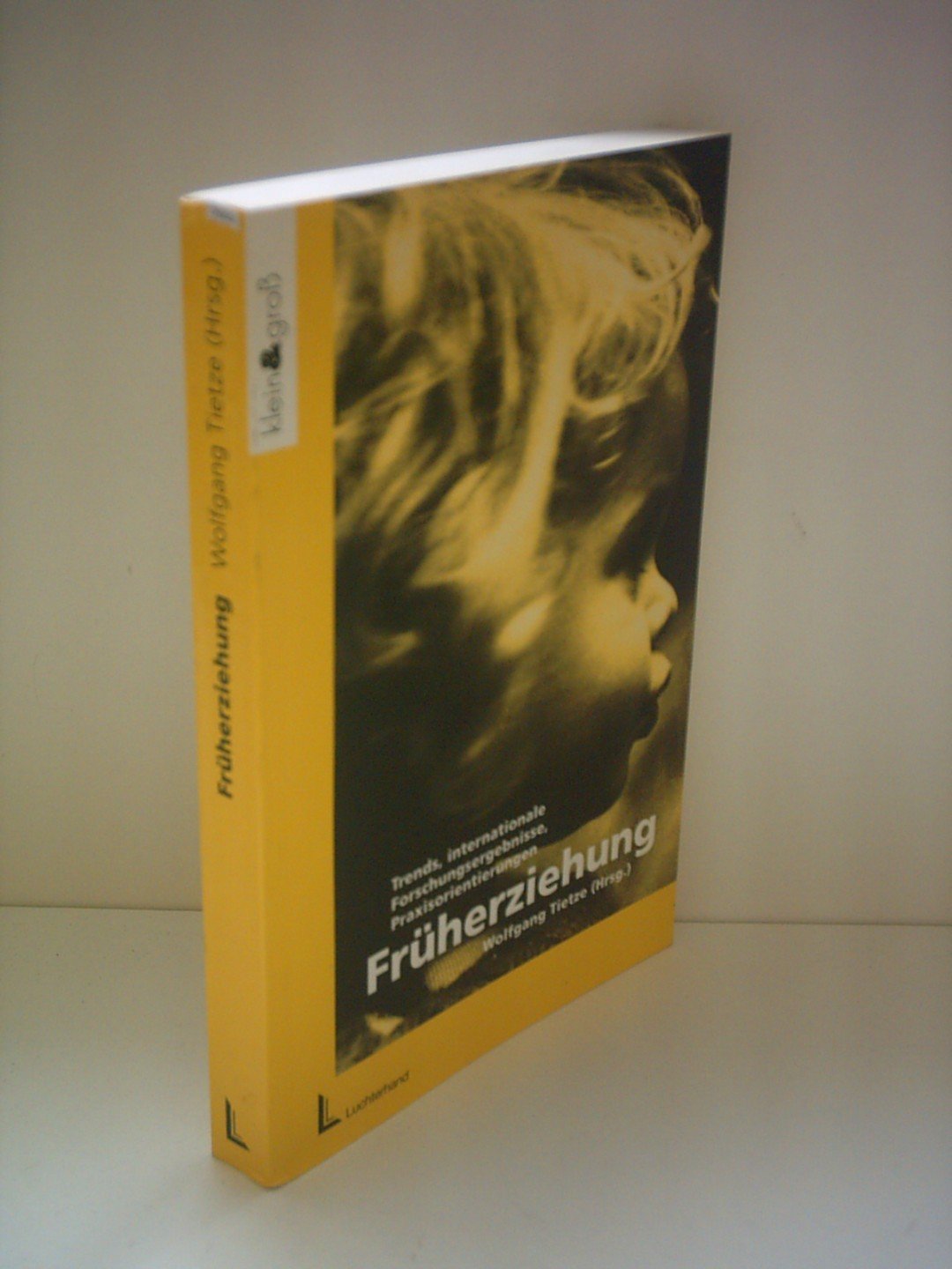 Früherziehung: Trends, internationale Forschungsergebnisse, Praxisorientierungen Professional & Reference Books