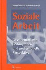Soziale Arbeit: Gesellschaftliche Bedingungen und professionelle Perspektiven Social Sciences