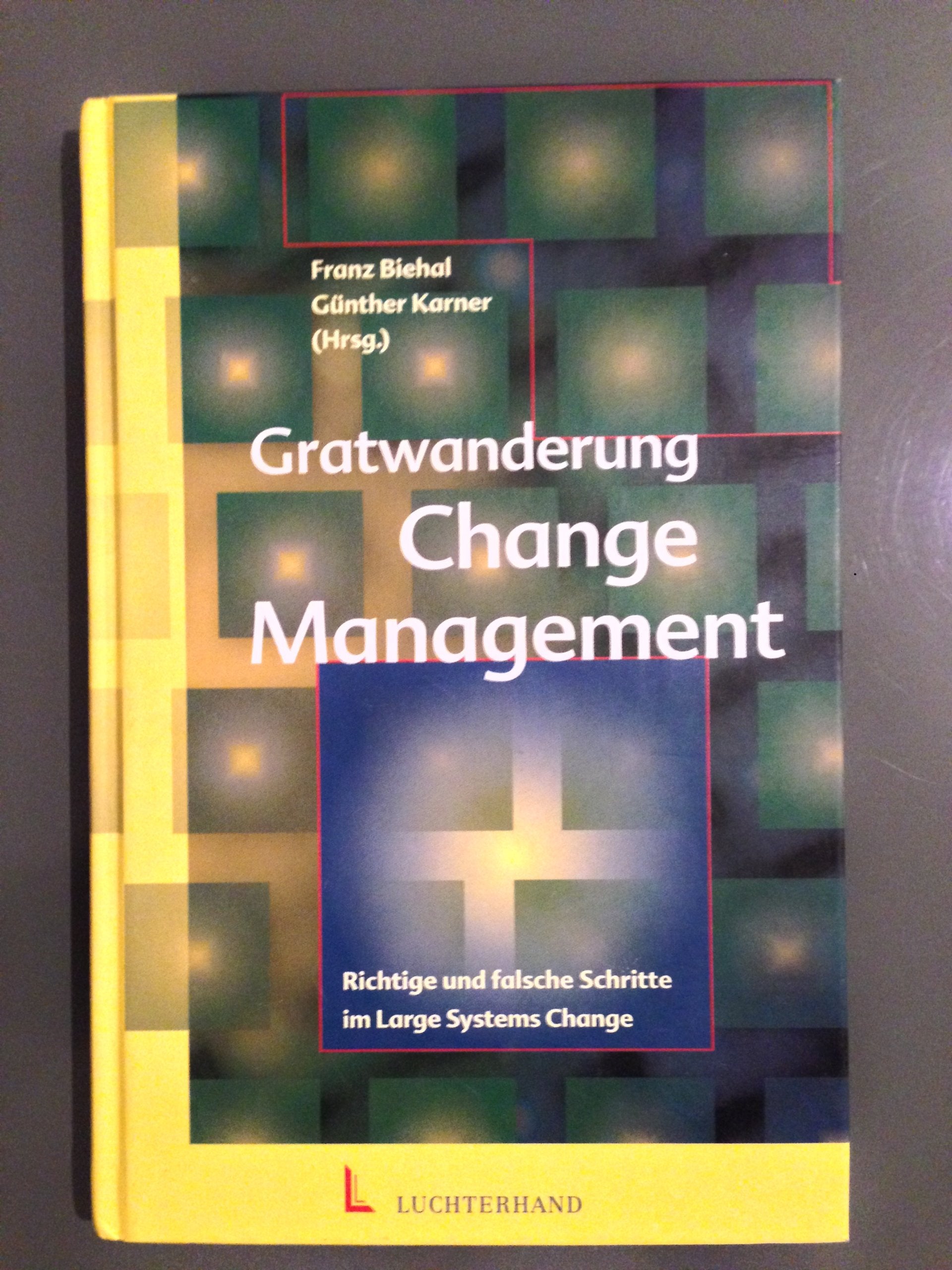 Gratwanderung Change Management: Richtige und falsche Schritte im Large Systems Change Business, Finance & Career
