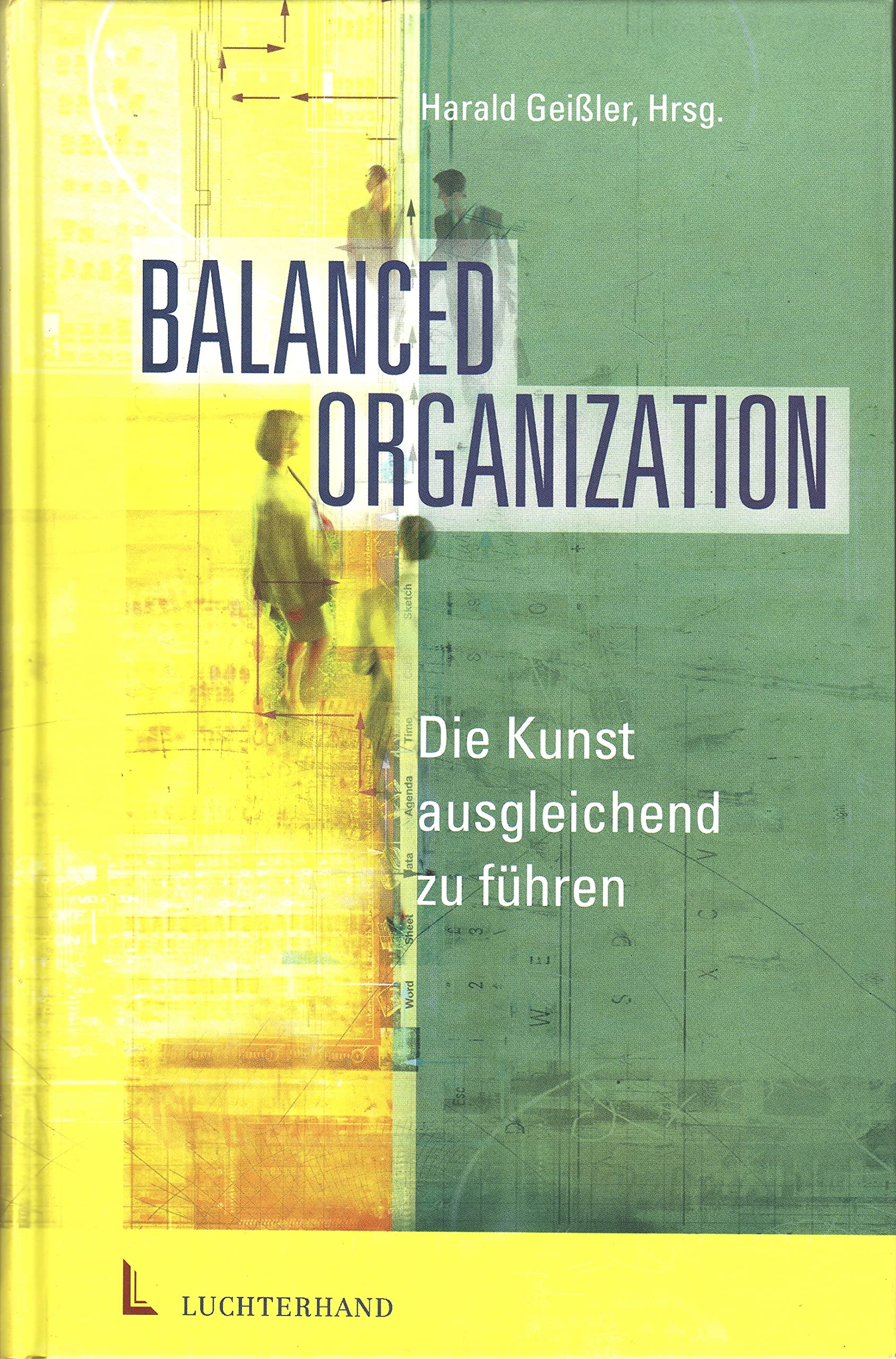Balanced Organization.Die Kunst der ausgleichenden Führung Business, Finance & Career