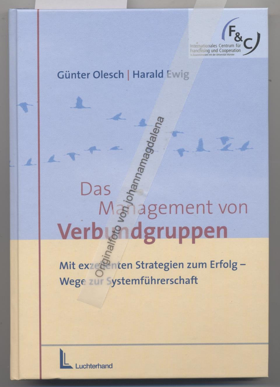 Das Management von Verbundgruppen: Mit exzellenten Strategien zum Erfolg - Wege zur Systemführerschaft Business, Finance & Career