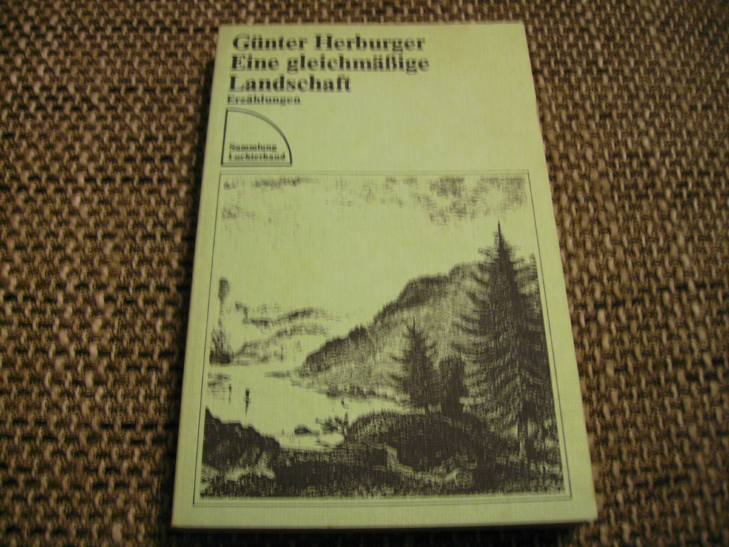 Eine gleichmäßige Landschaft: Erzählungen Books