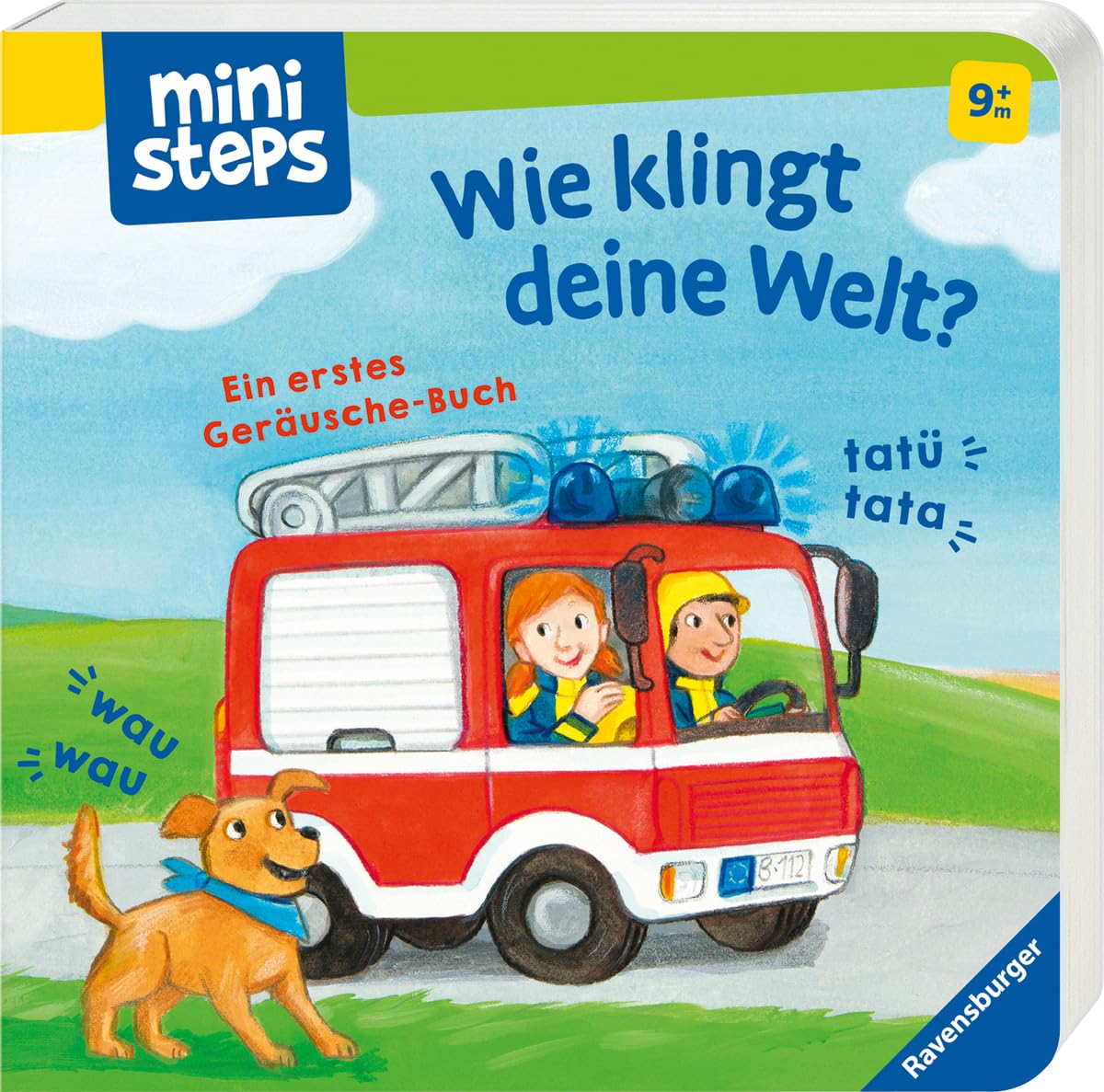 Product Image: ministeps: Wie klingt deine Welt?