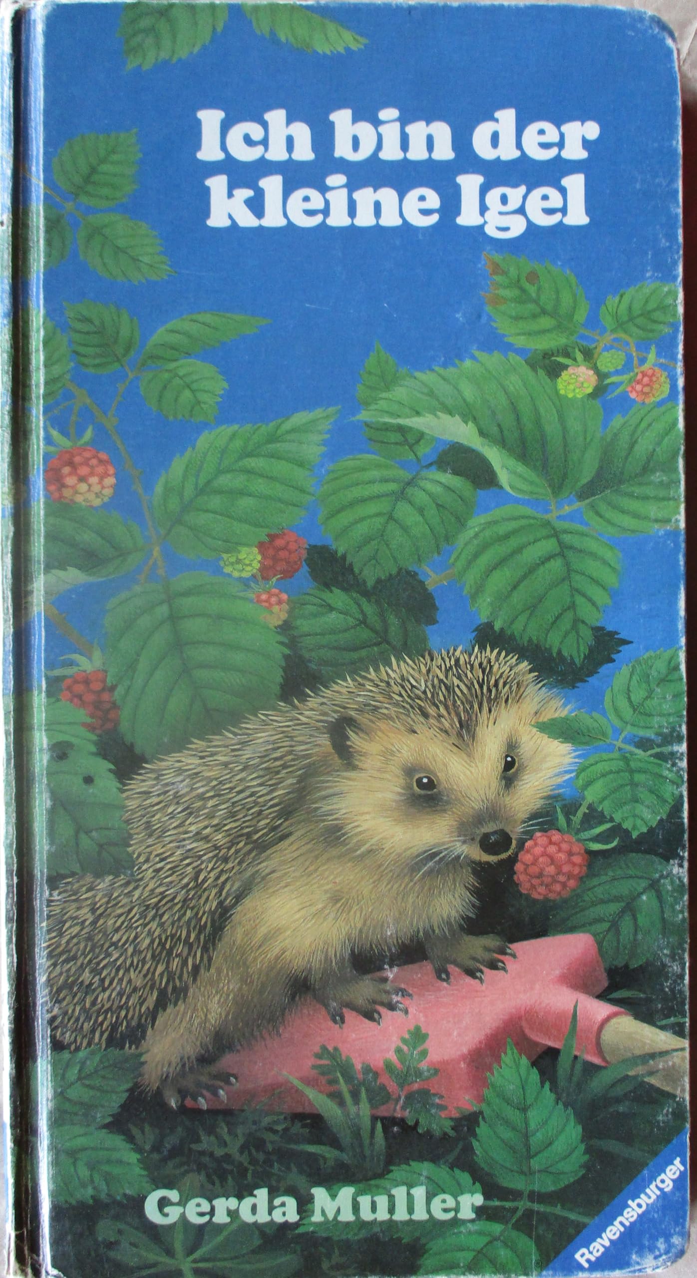 Ich bin der kleine Igel Children's books