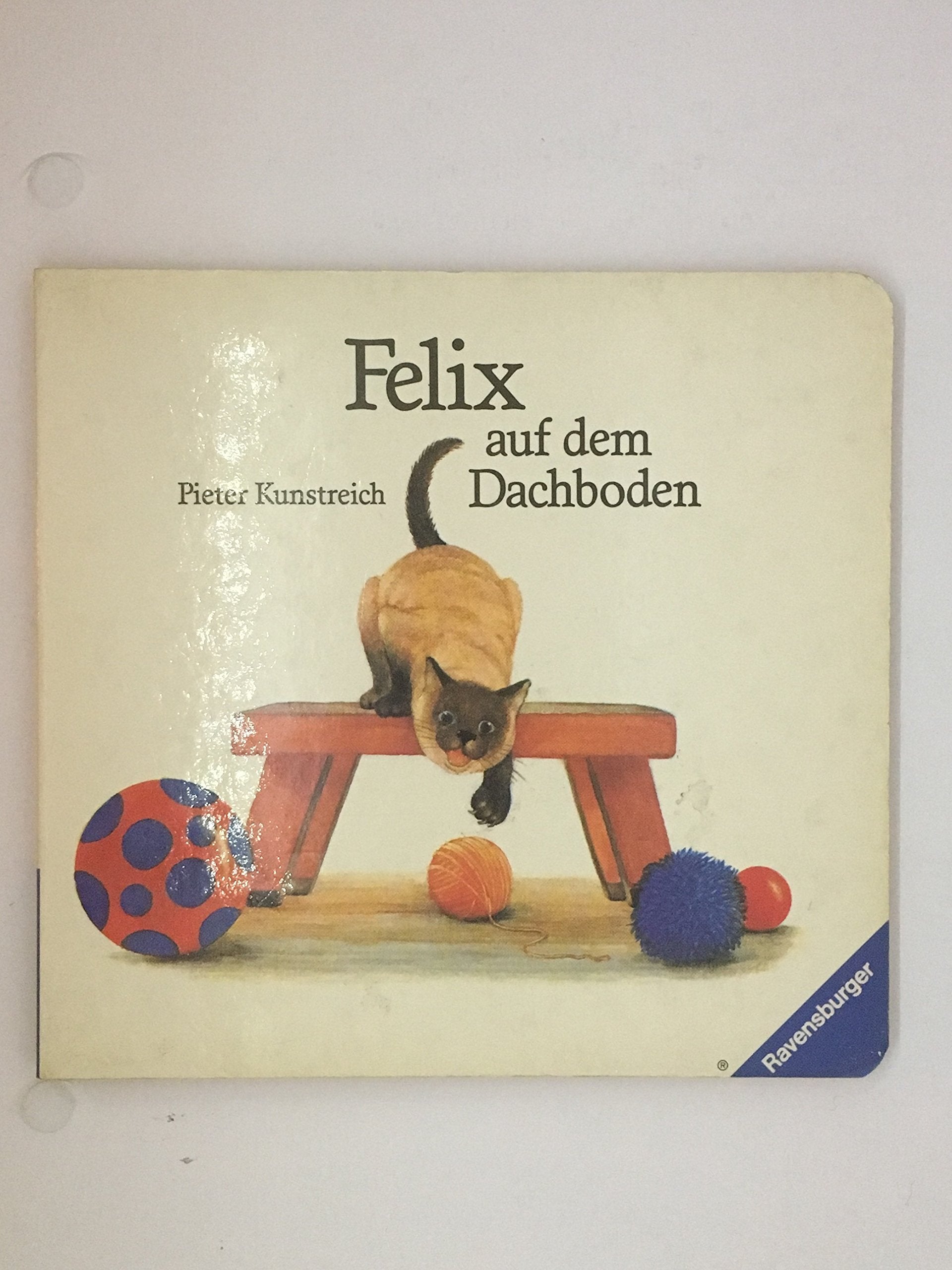 Product Image: Felix auf dem Dachboden