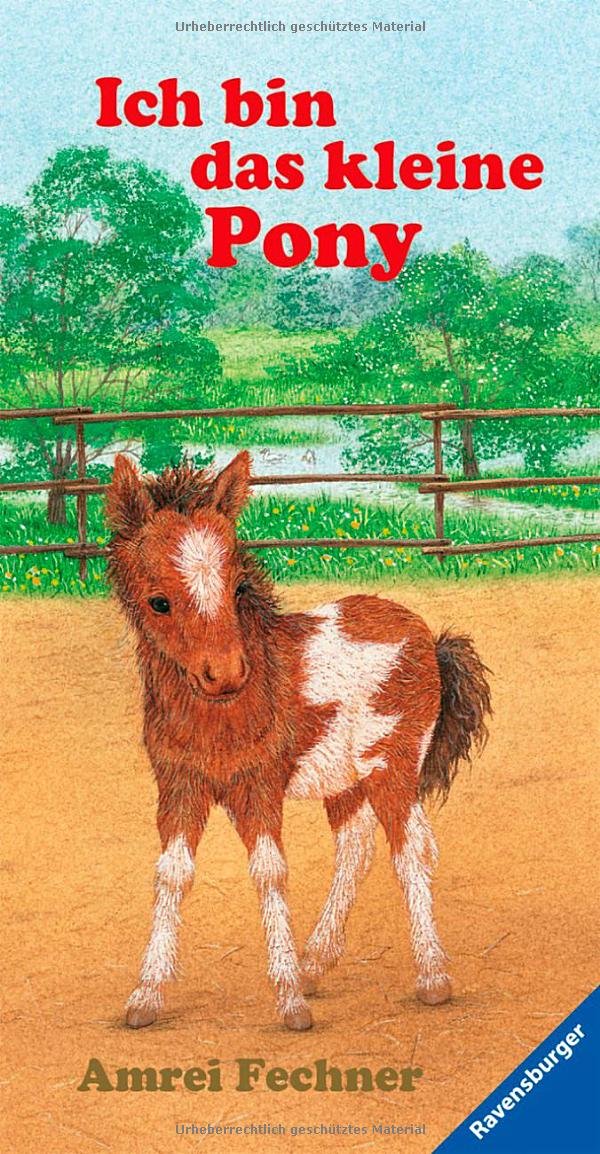 Product Image: Ich bin das kleine Pony: Mit neuer Rechtschreibung
