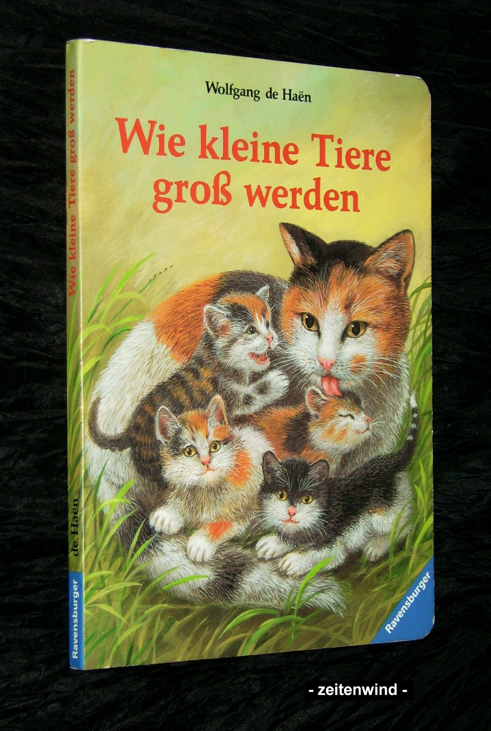 Product Image: Wie kleine Tiere groß werden