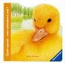 Quak-quaak - wer schwimmt mit? book