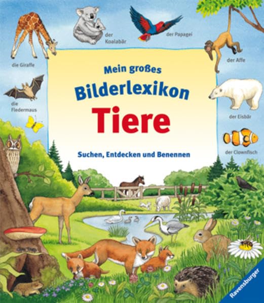 Mein großes Bilderlexikon Tiere: Suchen, Entdecken und Benennen Learning & Reference