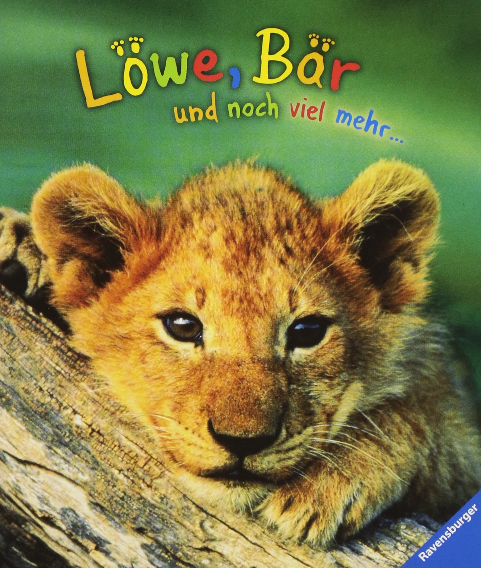 Löwe, Bär und noch viel mehr ... Photography