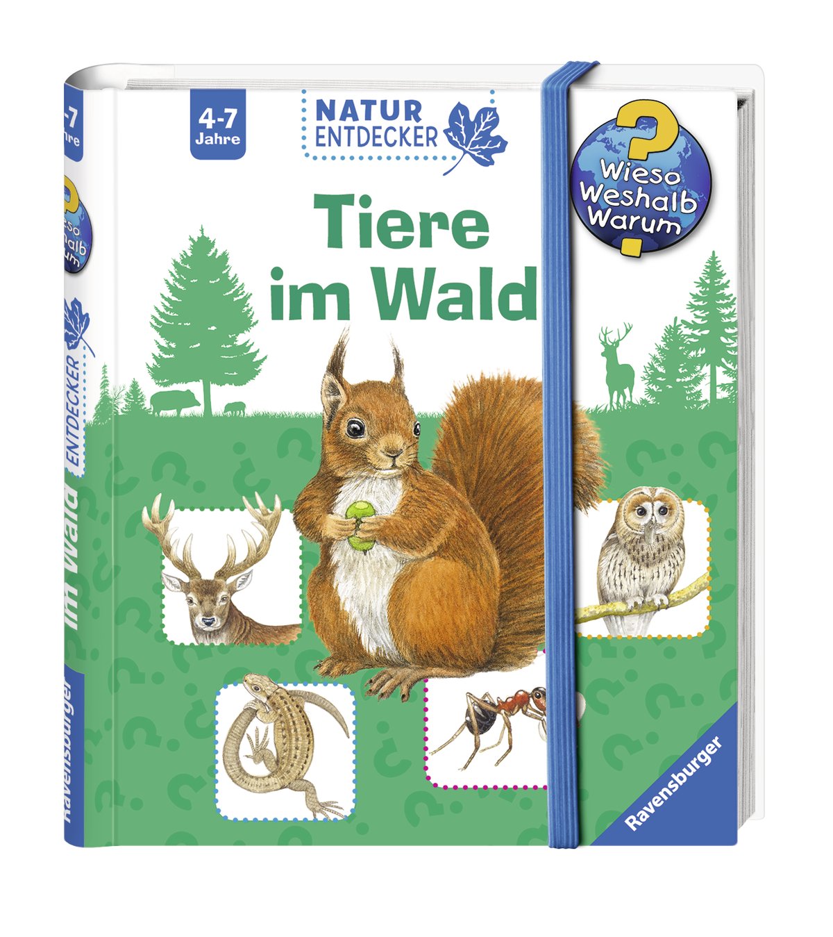 Tiere im Wald Natural Sciences