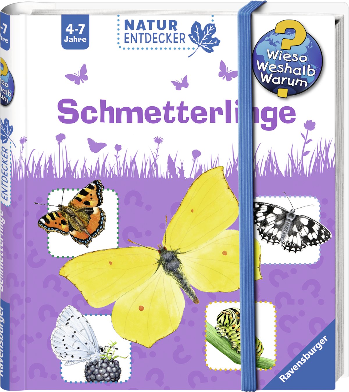 Schmetterlinge Natural Sciences