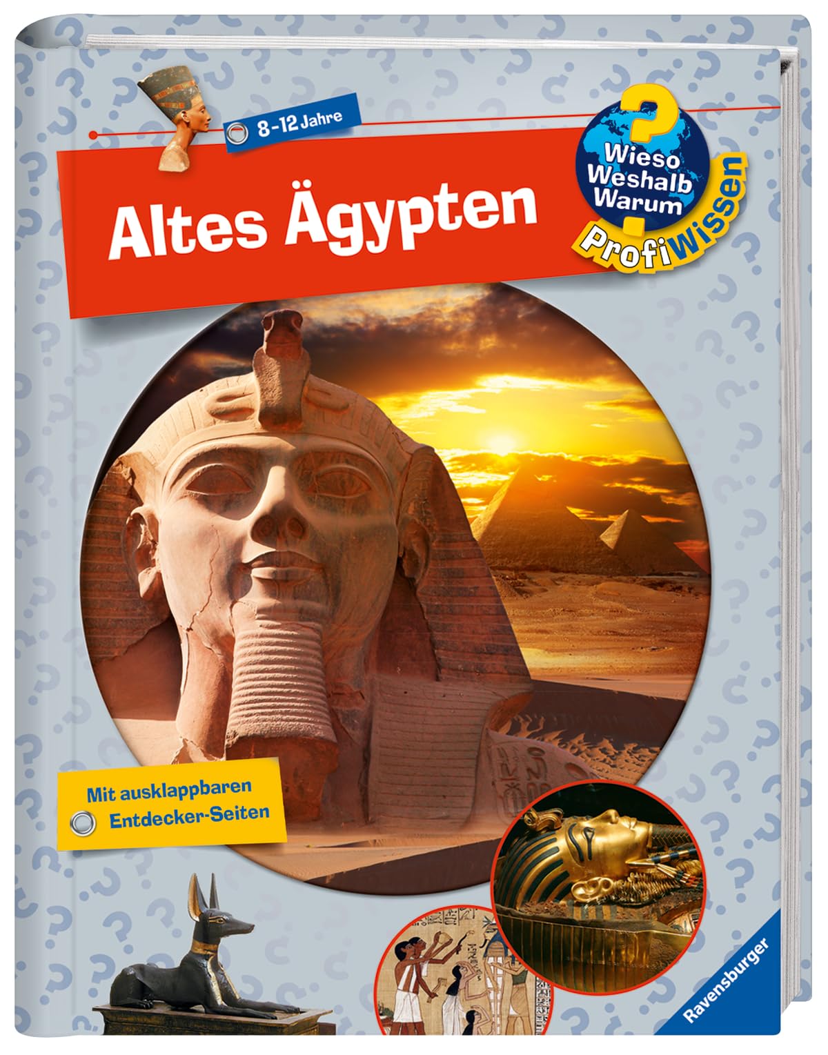 Wieso? Weshalb? Warum? ProfiWissen: Altes Ägypten (Band 2) Politics & History