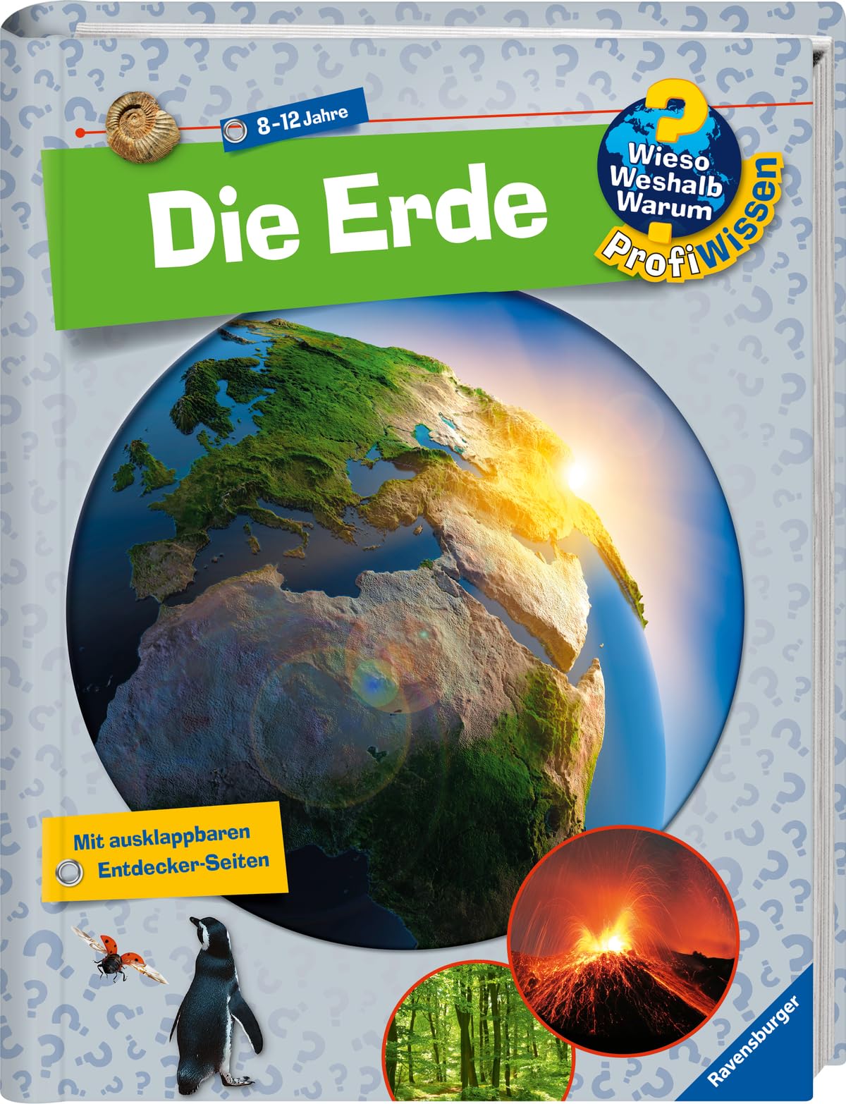 Wieso? Weshalb? Warum? ProfiWissen: Die Erde (Band 1) Business & Technology