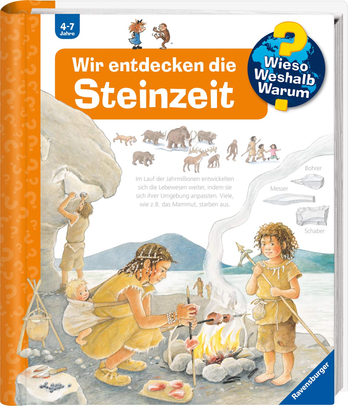 Wir entdecken die Steinzeit book