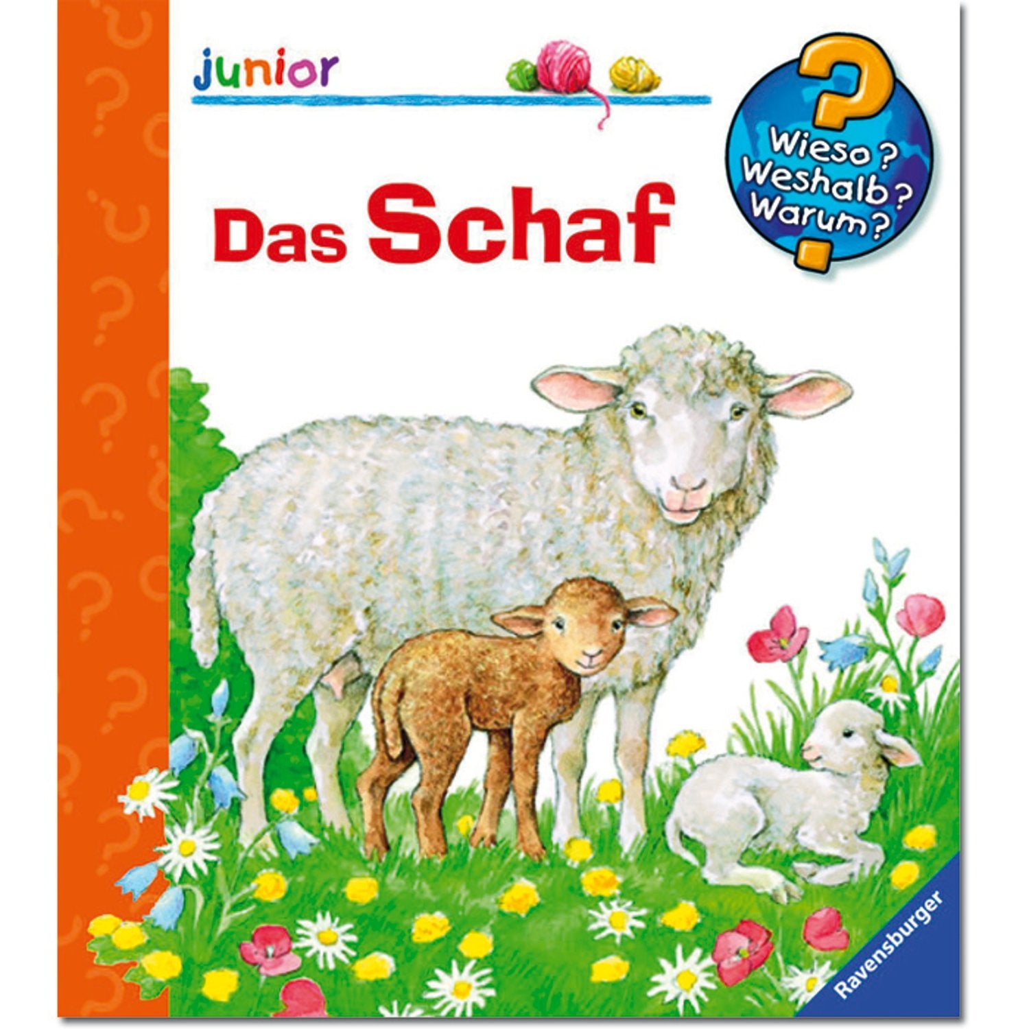 Das Schaf (Wieso? Weshalb? Warum? junior, Band 29) book