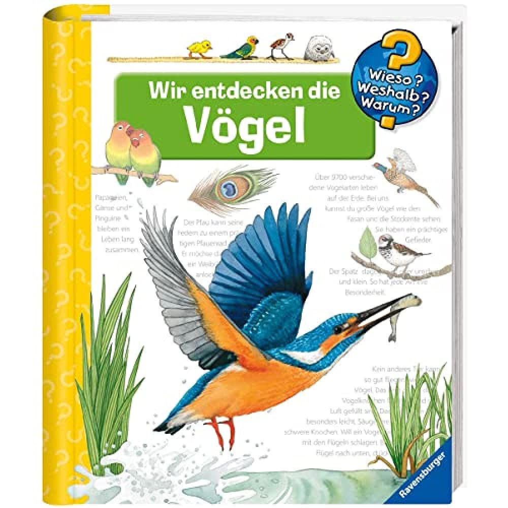 Wir entdecken die Vögel Non-fiction