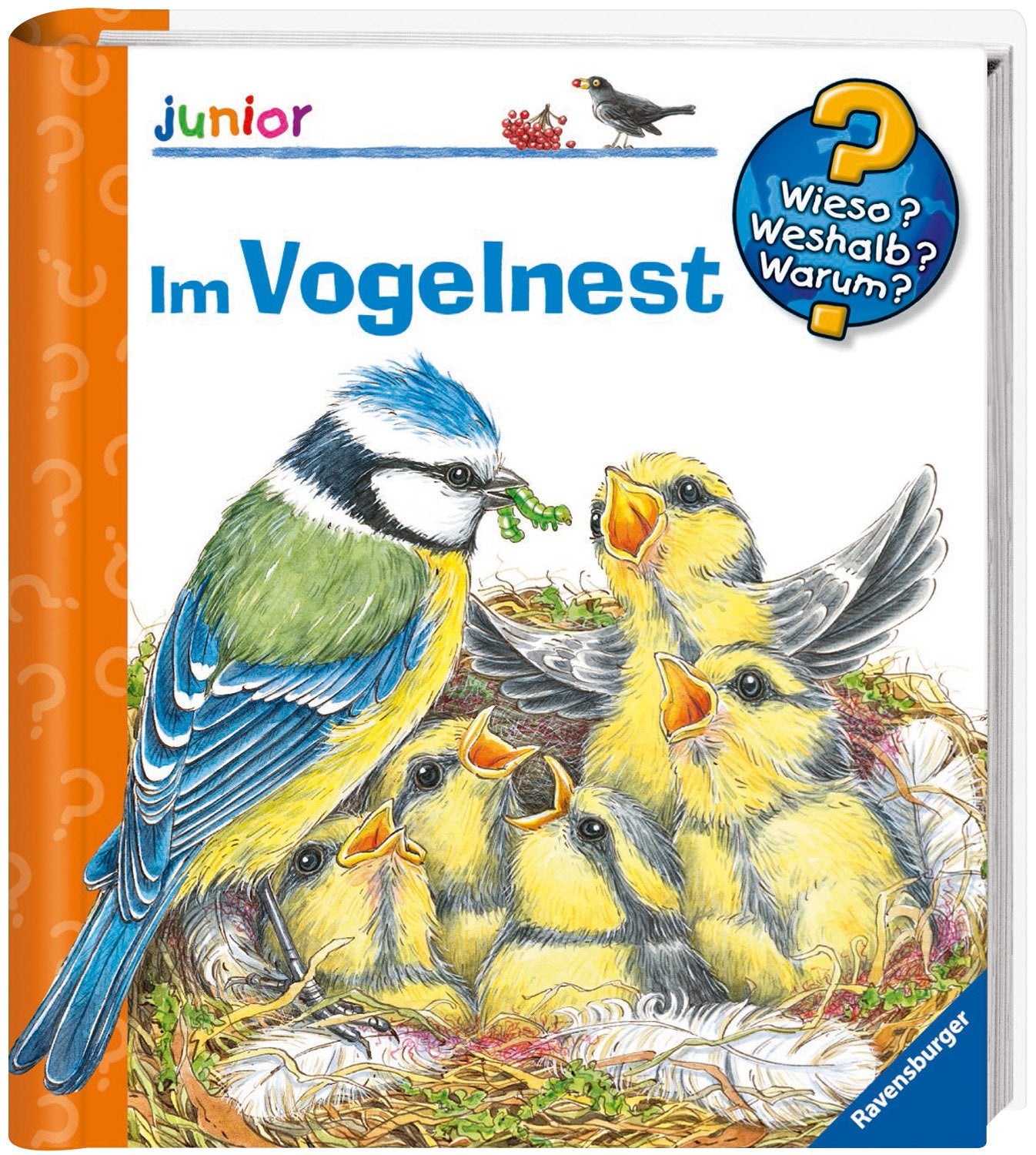 Im Vogelnest Natural Sciences Books