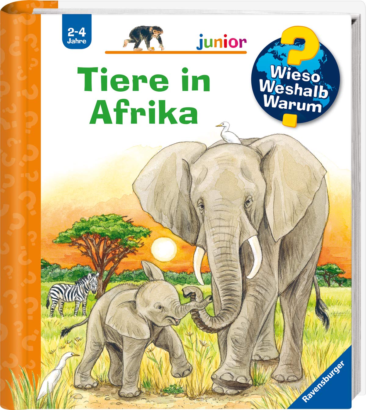 Wieso? Weshalb? Warum? junior: Tiere in Afrika (Band 50) Non-fiction