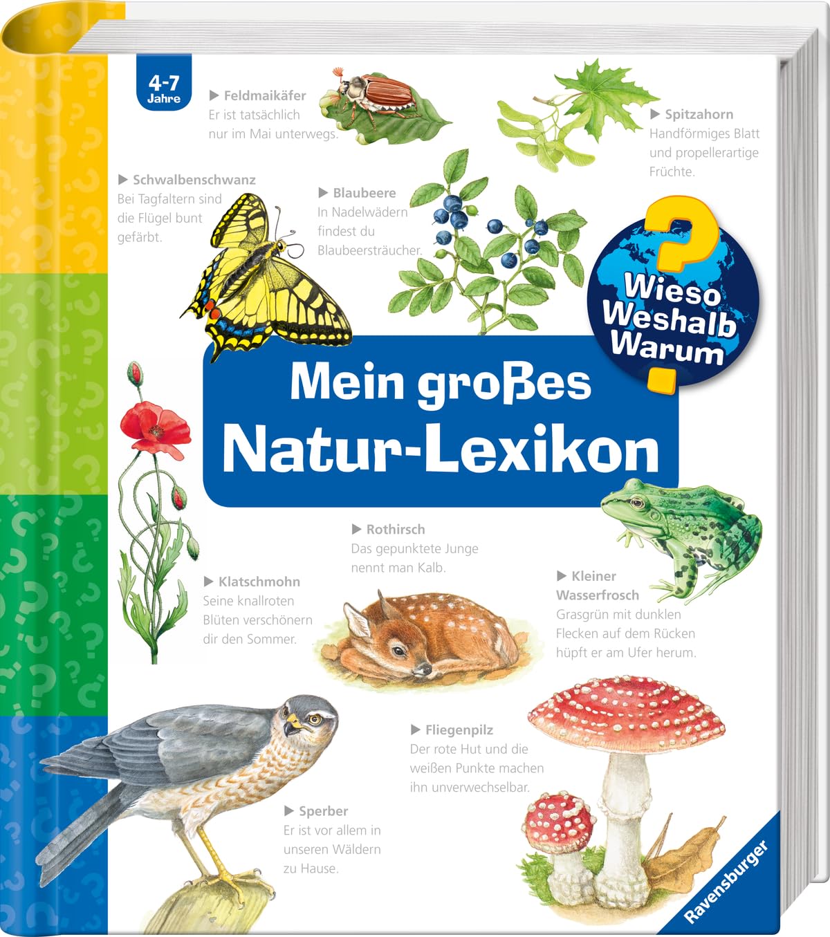 Wieso? Weshalb? Warum?: Mein großes Natur-Lexikon Reference Books