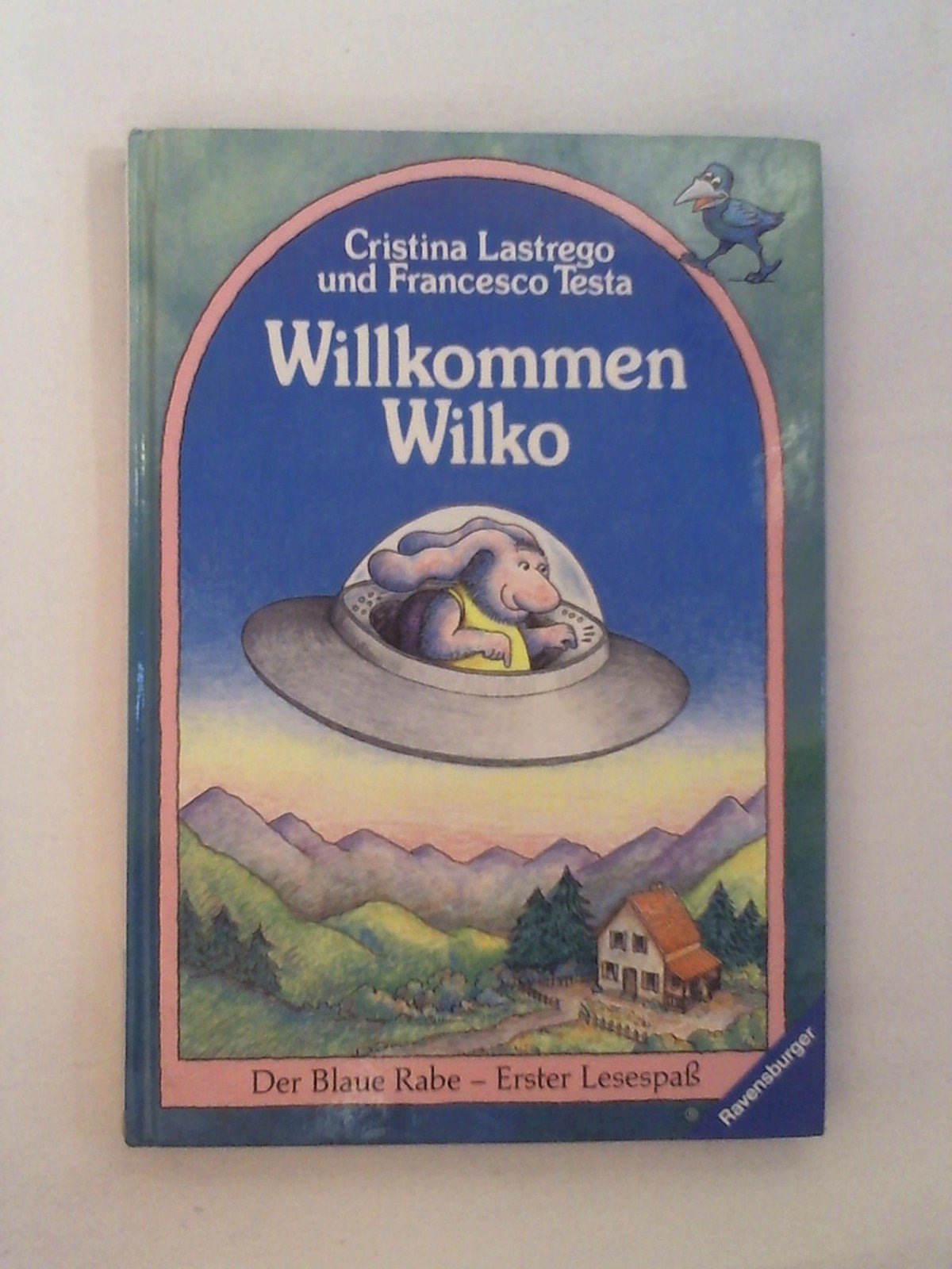 Willkommen Wilko (Der Blaue Rabe - Erster Lesespass / Ab 7/8 Jahren) Books