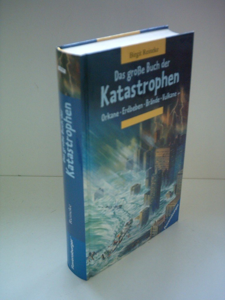 Das große Buch der Katastrophen Books