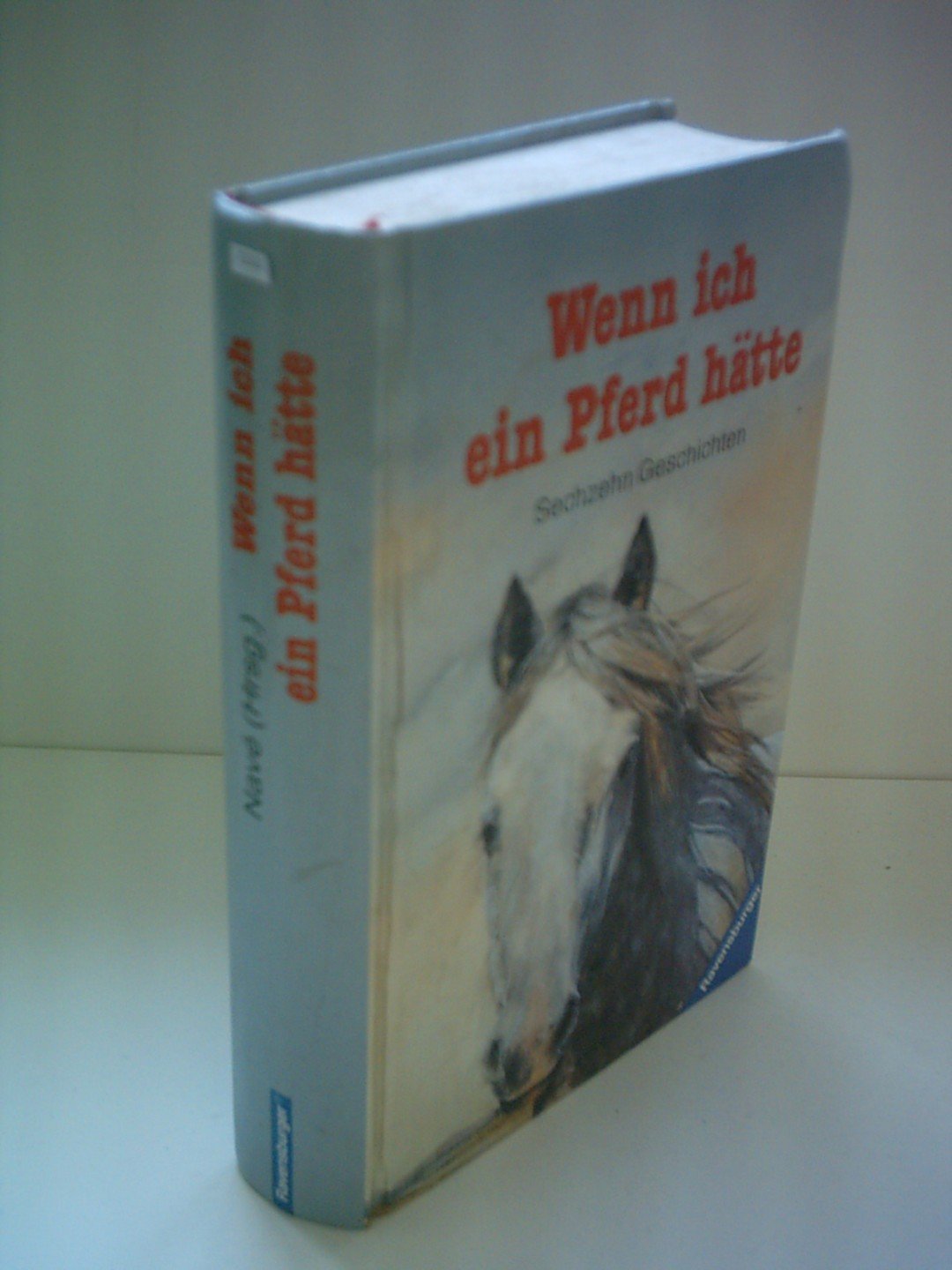 Wenn ich ein Pferd hätte. Sechzehn Geschichten Books