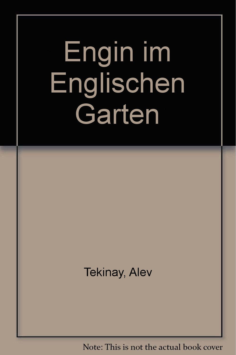 Engin im Englischen Garten (HC - Jugendliteratur ab 12 Jahre) Leisure, Home & Garden