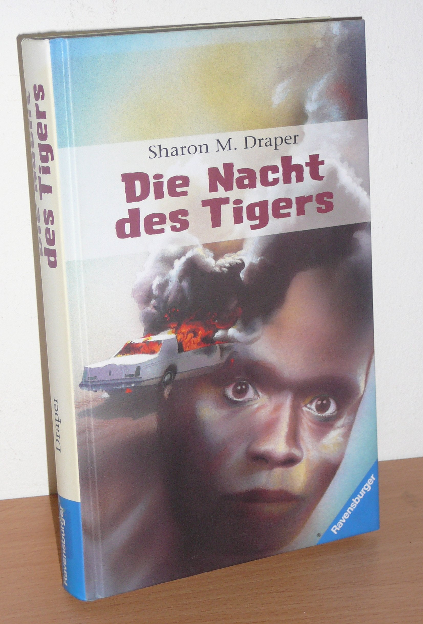 Die Nacht des Tigers (Jugendliteratur ab 12 Jahre) Books