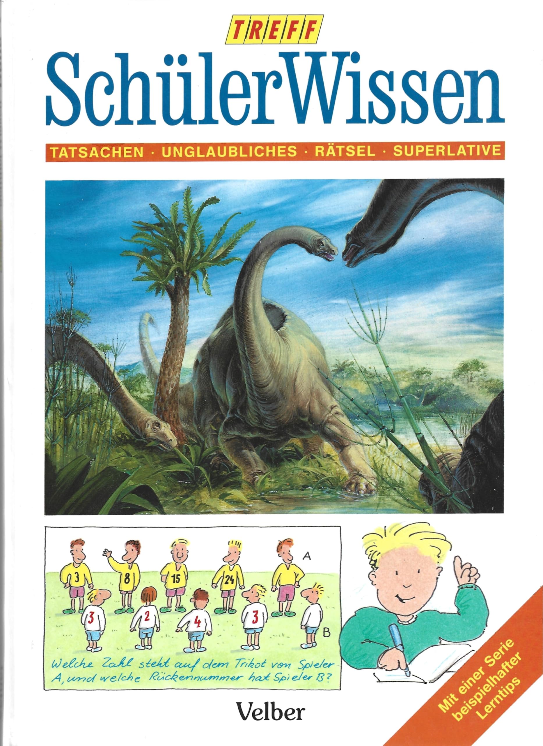 Product Image: SchülerWissen 4