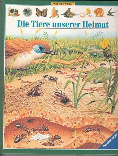Die Tiere unserer Heimat (Farbiges Wissen, Band 6) Books