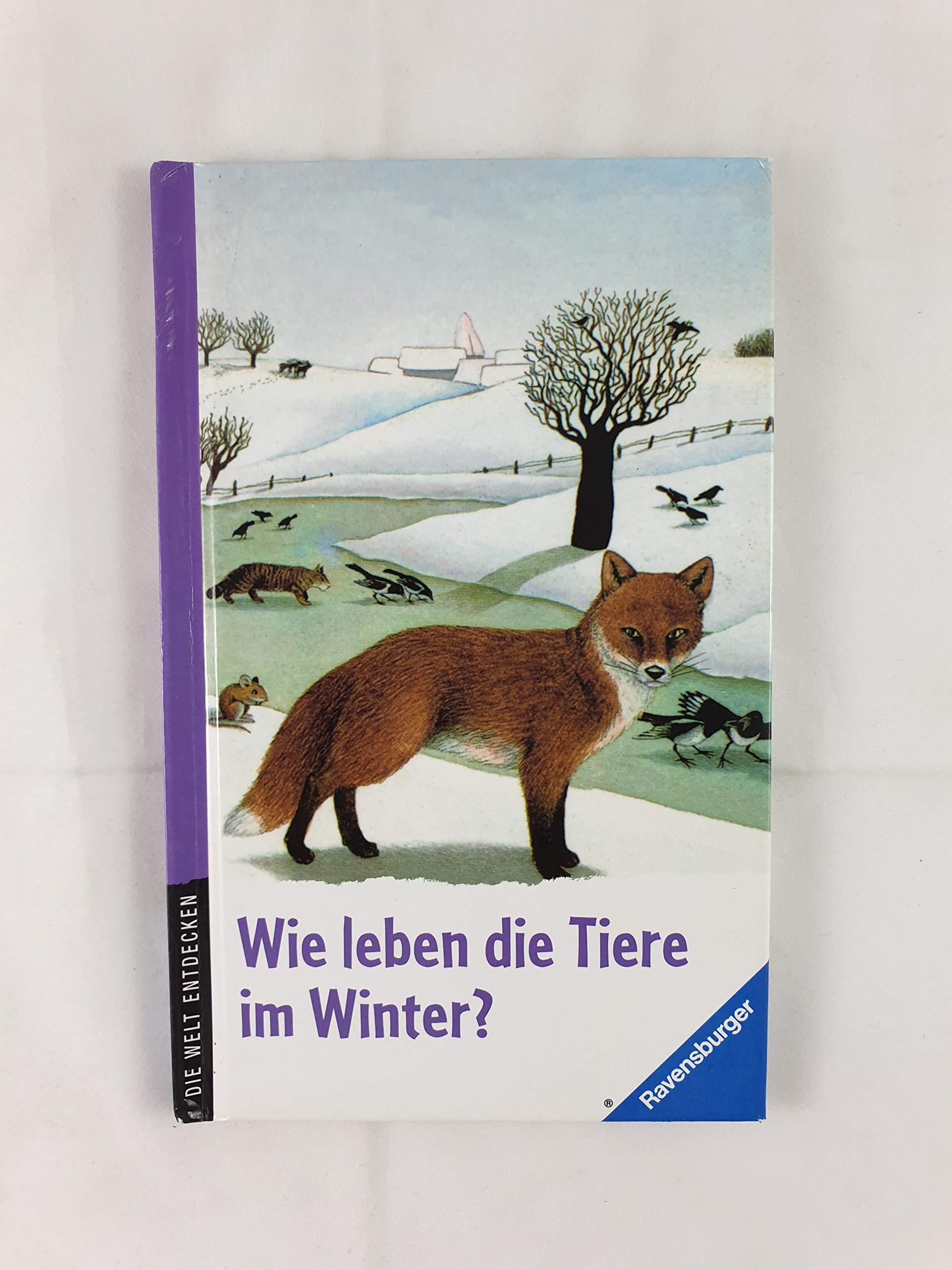 Wie leben die Tiere im Winter? book