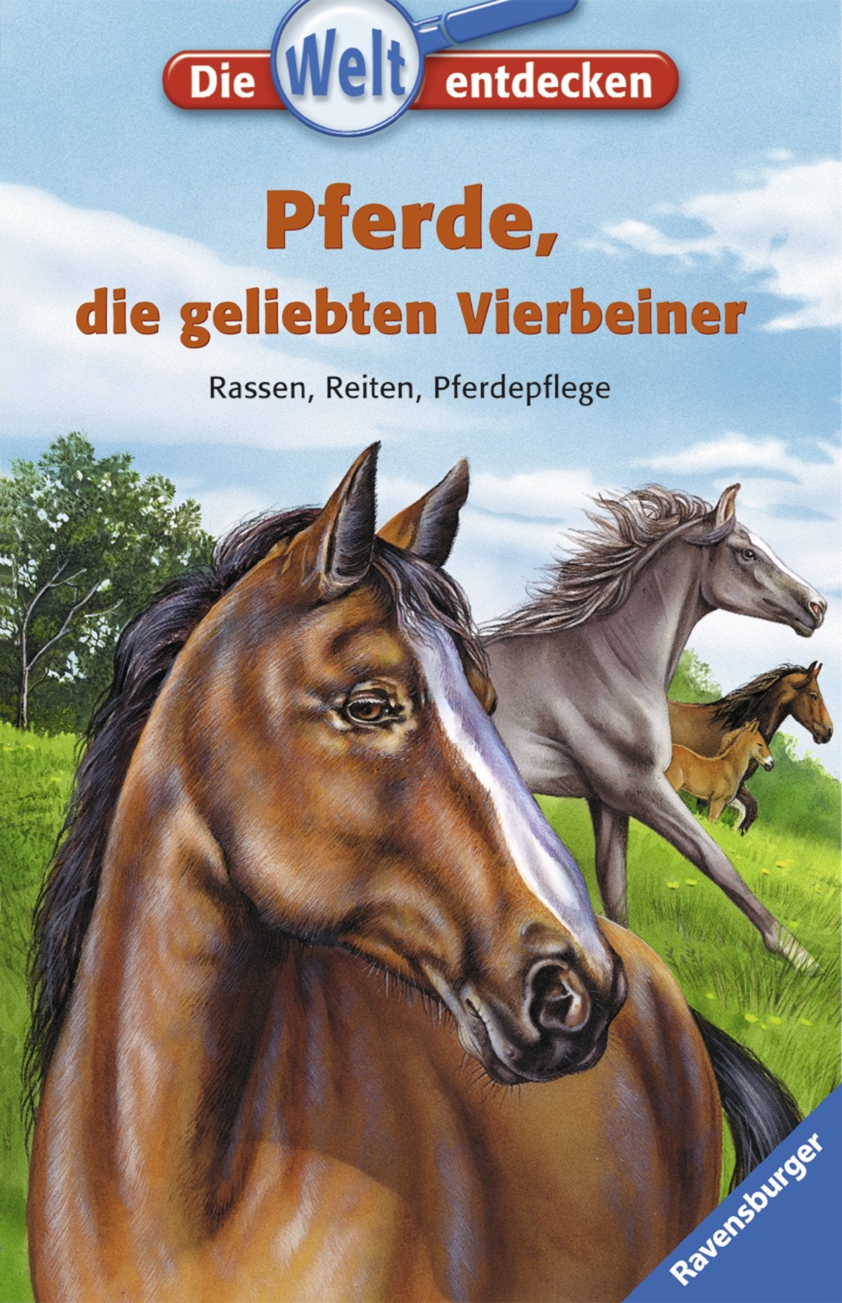 Pferde, die geliebten Vierbeiner: Rassen, Reiten, Pferdepflege (Die Welt entdecken, Band 5) Non-fiction