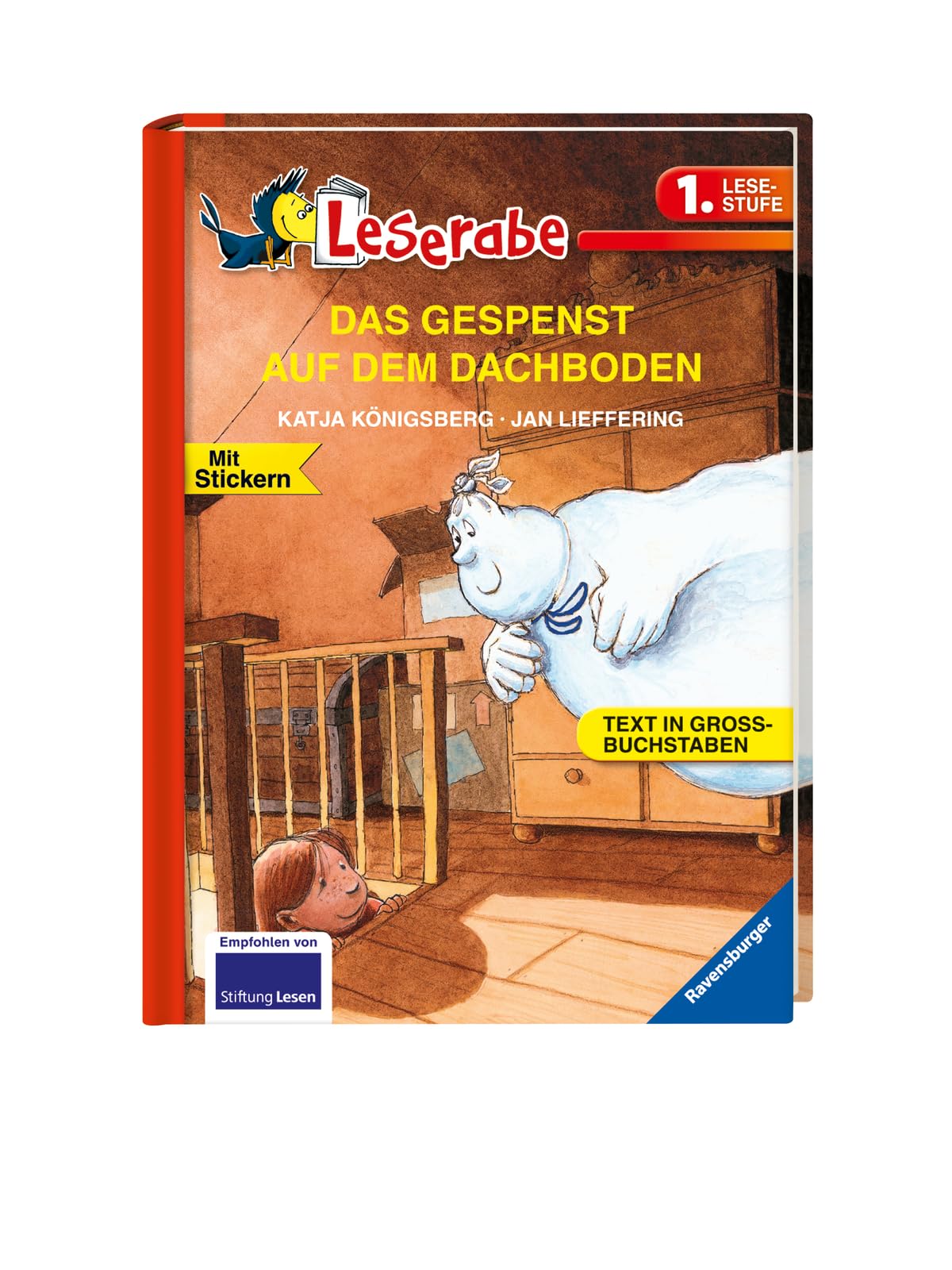 DAS GESPENST AUF DEM DACHBODEN - Leserabe 1. Klasse - Erstlesebuch für Kinder ab 6 Jahren Contemporary literature