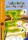 Mein Ravensburger Malbuch. Labyrinthe zum Ausmalen. book