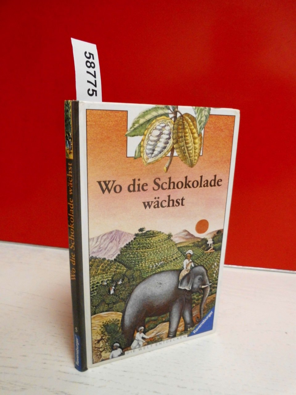 Wo die Schokolade wächst (Die Welt entdecken) Parents & Children