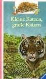 Kleine Katzen, große Katzen (Die Welt entdecken) Books