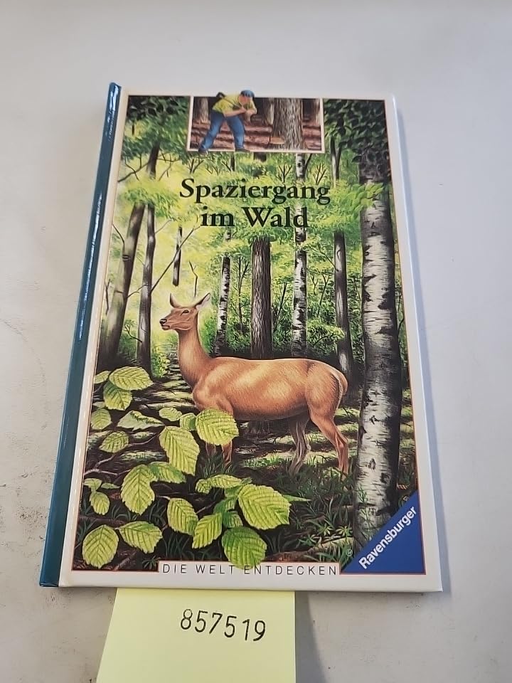 Spaziergang im Wald (Die Welt entdecken) Natural Sciences