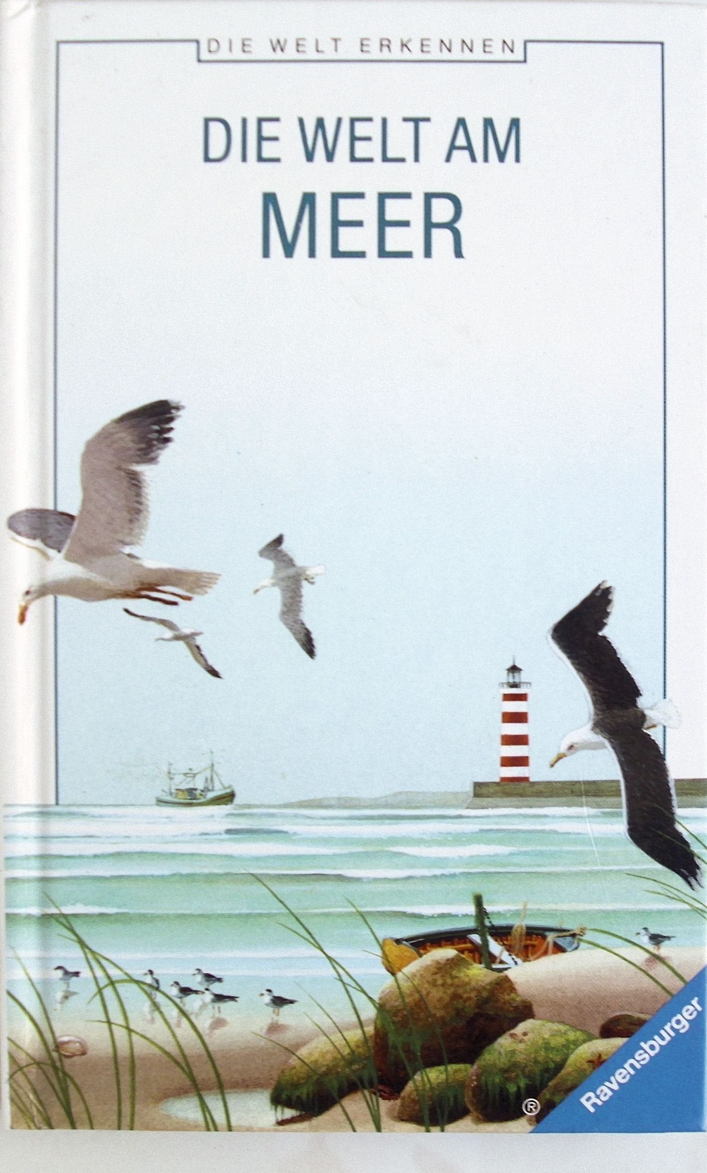 Die Welt am Meer (Die Welt erkennen) Natural Sciences