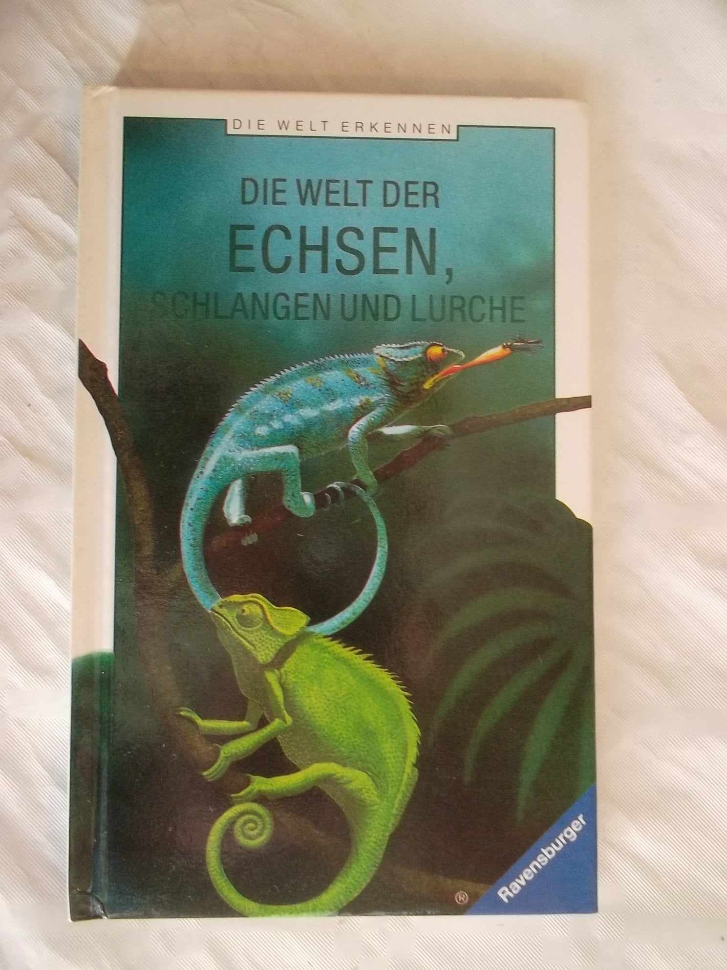 Die Welt der Echsen, Schlangen und Lurche (Die Welt erkennen) Natural Sciences