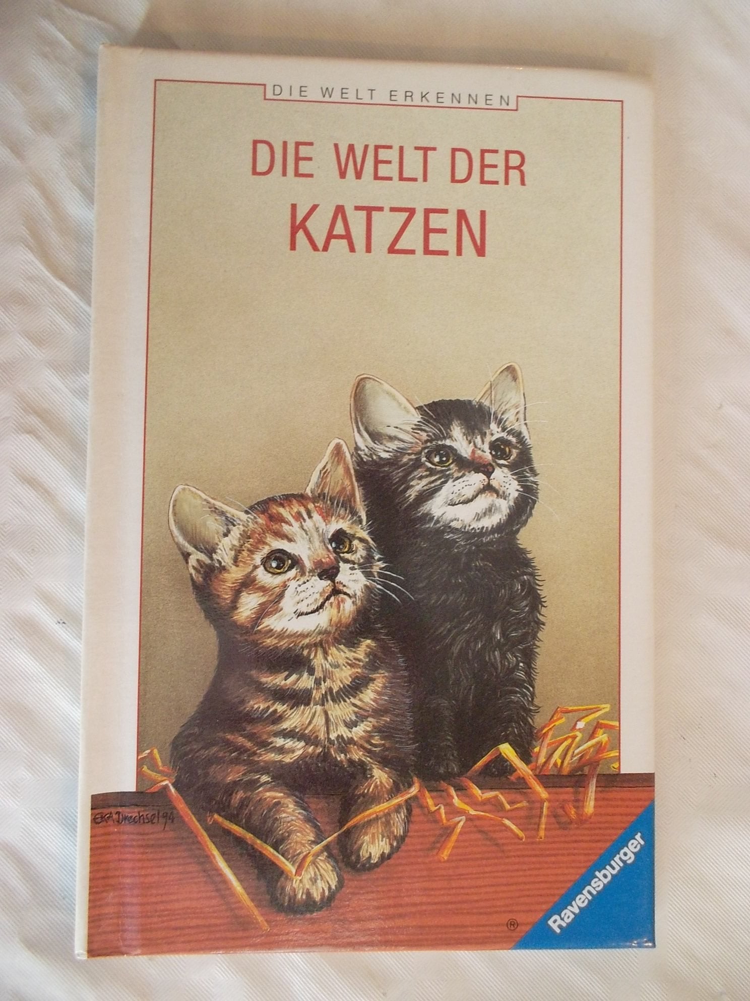 Die Welt der Katzen (Die Welt erkennen) Books
