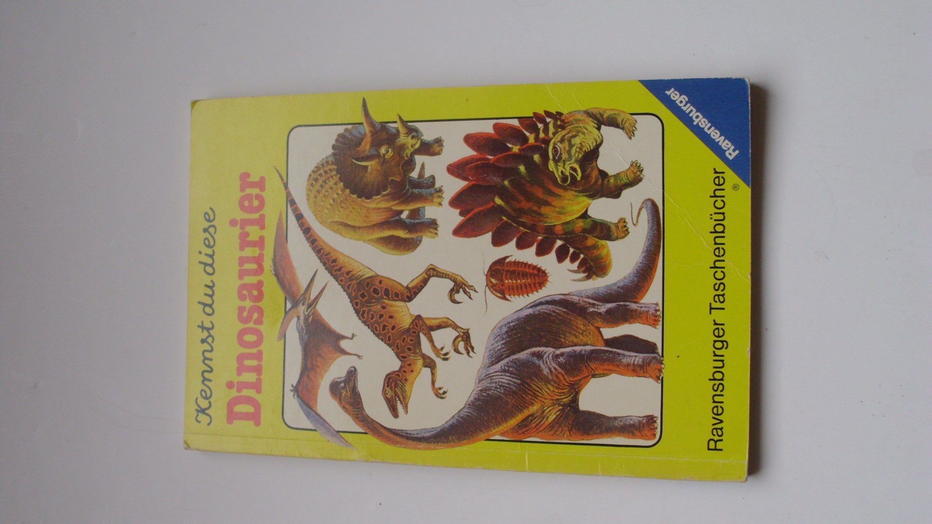 Kennst du diese Dinosaurier Geology & Geography Books
