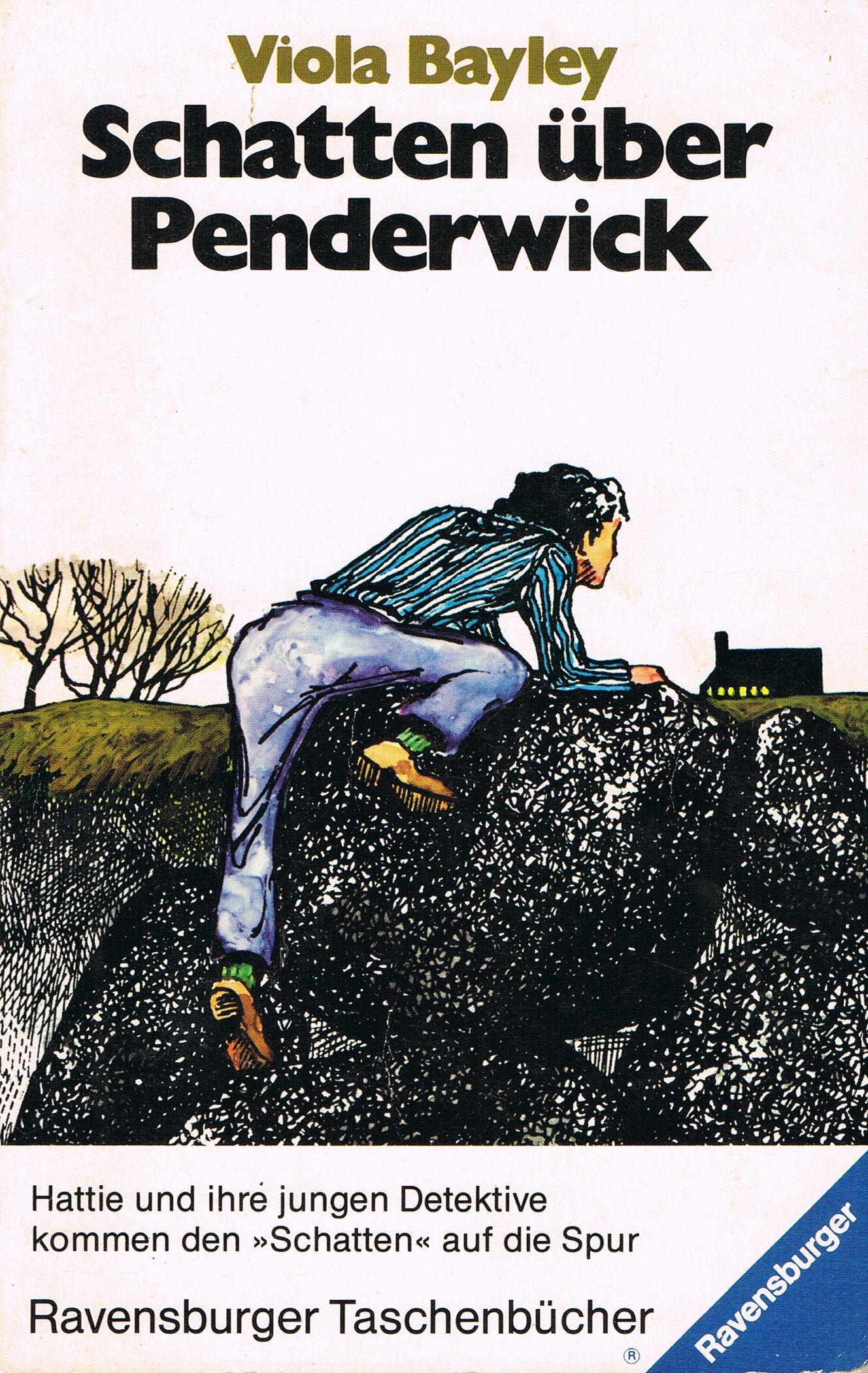 Schatten über Penderwick. Books