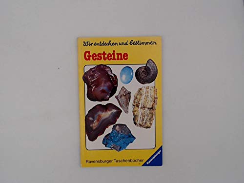 Gesteine Geology & Geography Books