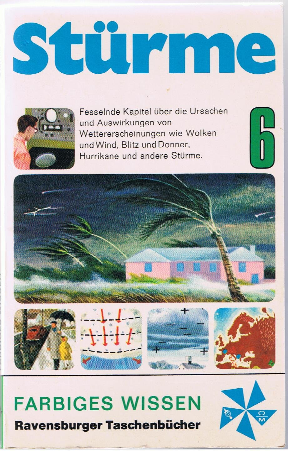 Stürme. Ursache und Wirkungen Books