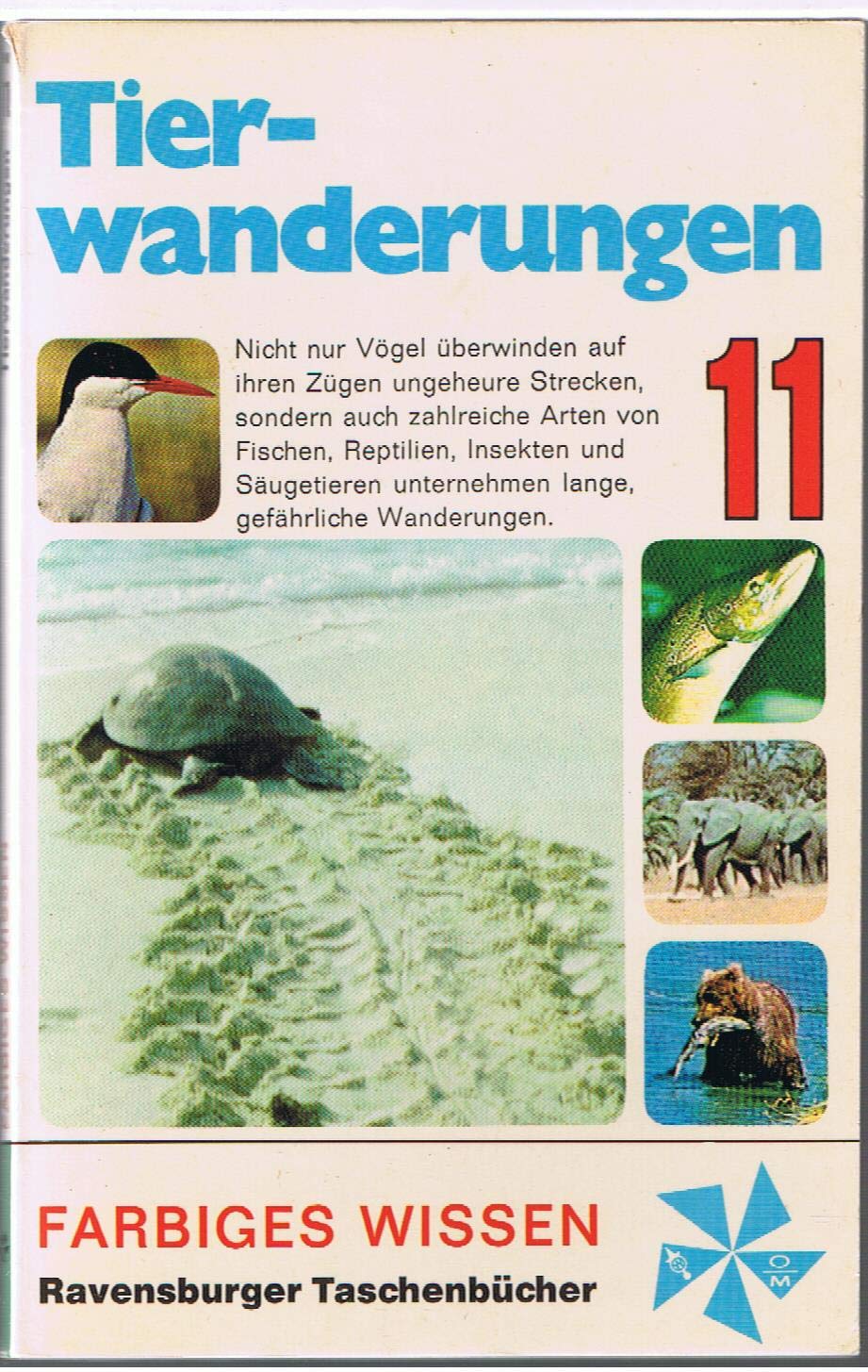 Tierwanderungen. Zu Lande, zu Wasser und in der Luft Books