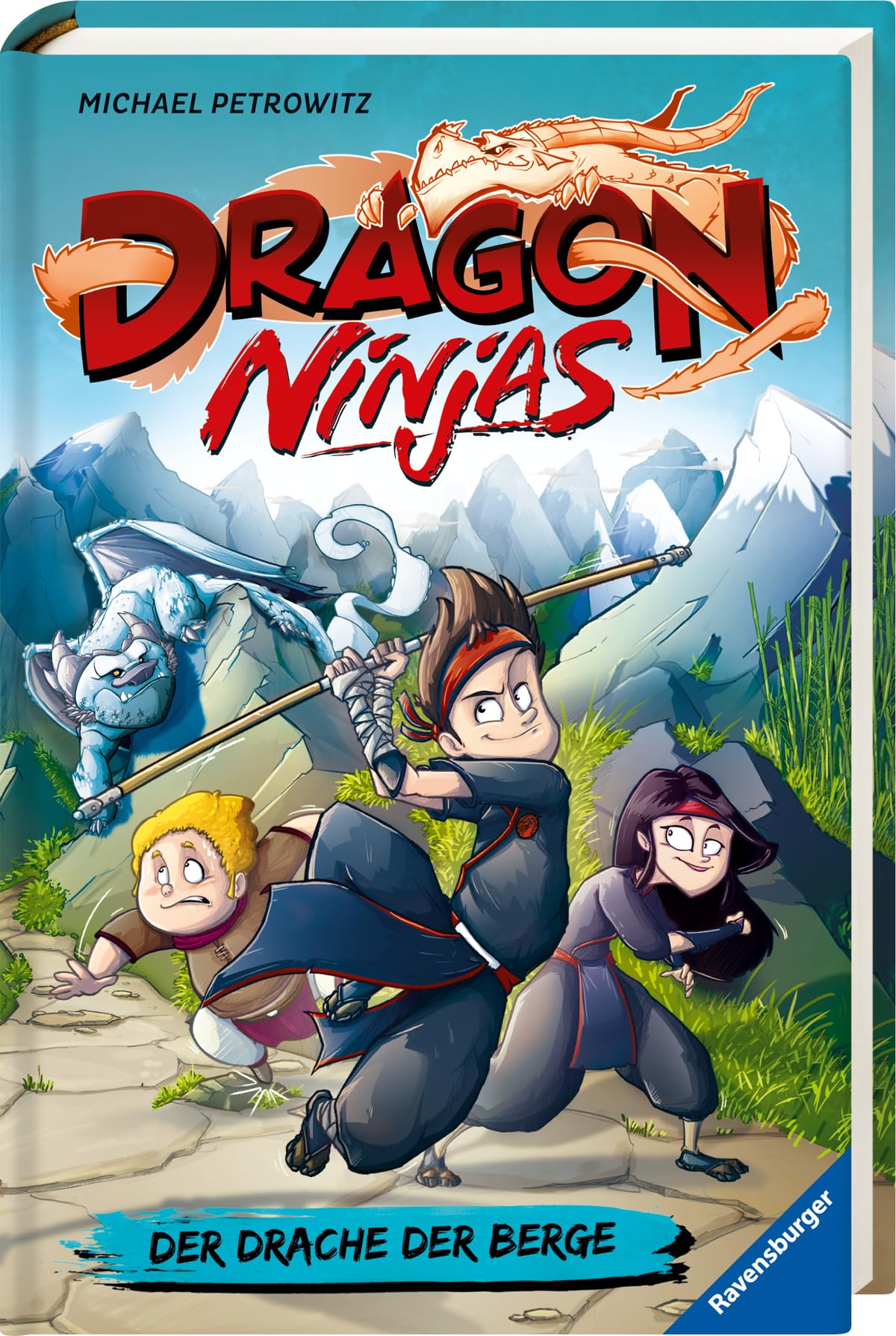 Dragon Ninjas, Band 1: Der Drache der Berge Non-fiction