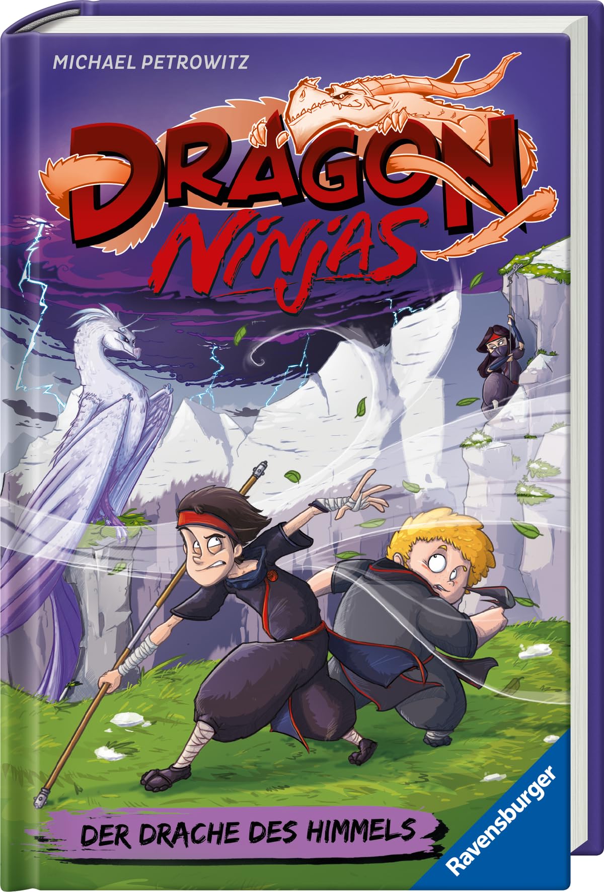 Dragon Ninjas, Band 3: Der Drache des Himmels Novels & Short Stories
